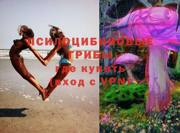 мяу мяу мука Абдулино