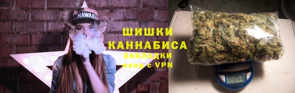 шишки Абинск