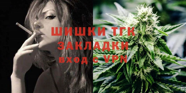 шишки Абинск