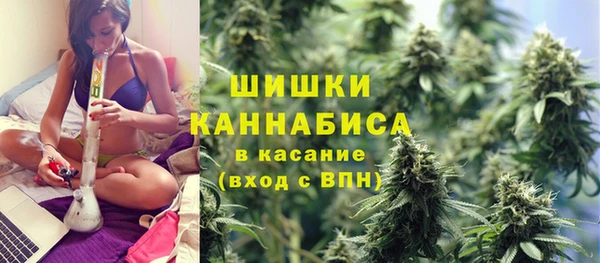 шишки Абинск