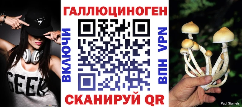 купить наркотики цена  Владикавказ  MEGA ссылки  Галлюциногенные грибы прущие грибы 