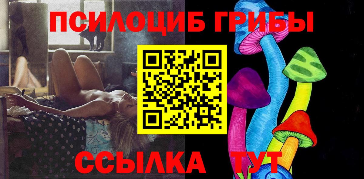 Владикавказ  Псилоцибиновые грибы мицелий  Вход с VPN 