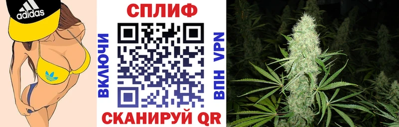 Конопля MAZAR  Владикавказ 